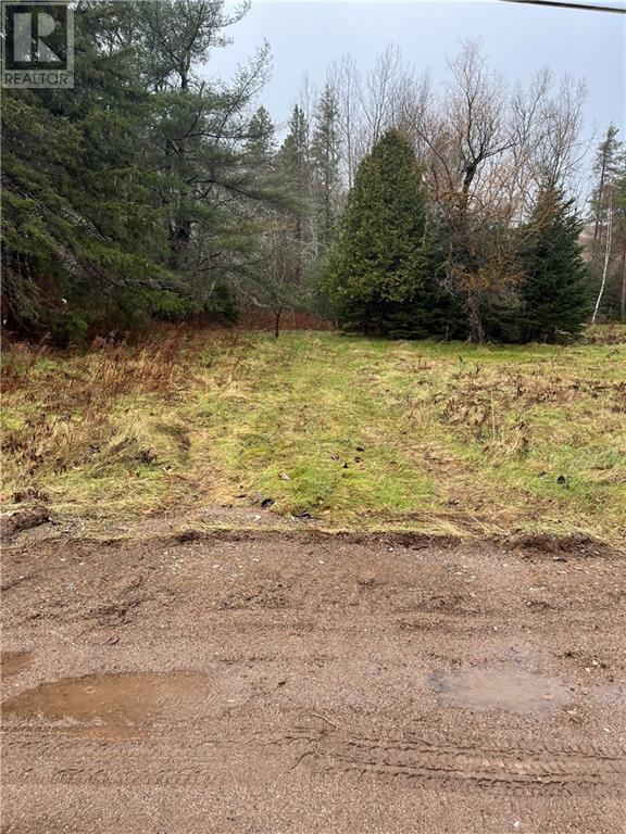 Lot Portage Vale Road, Portage Vale, New Brunswick  E4Z 3C4 - Photo 6 - M156380