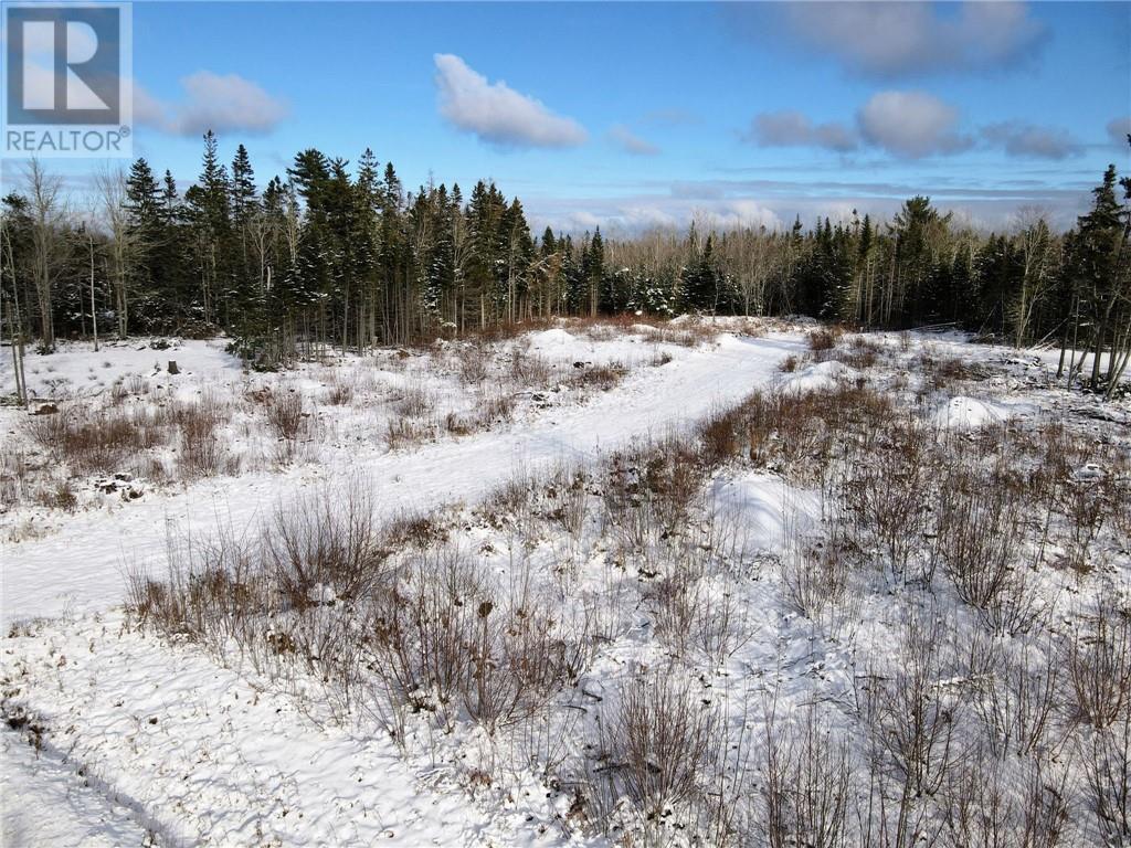 339 Saint-André Road, Cap-Pelé, New Brunswick  E4N 1Z4 - Photo 12 - M156526