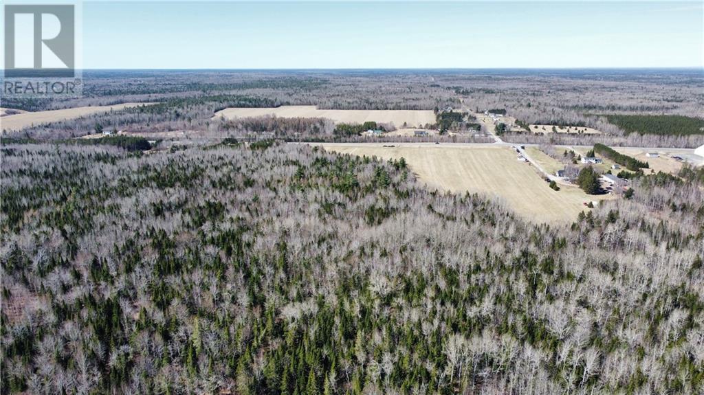 Lot Route 126, Rogersville, New Brunswick  E4Y 2N8 - Photo 12 - M156681