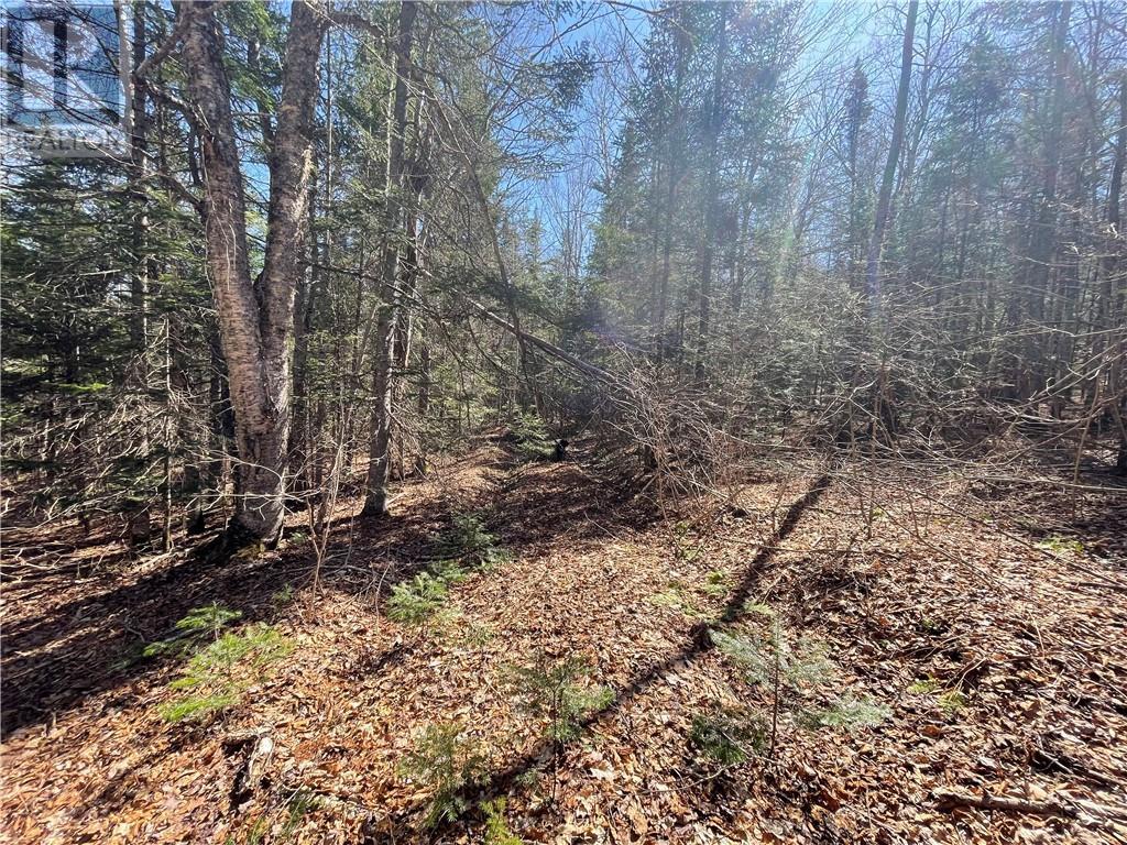 Lot Route 126, Rogersville, New Brunswick  E4Y 2N8 - Photo 26 - M156681