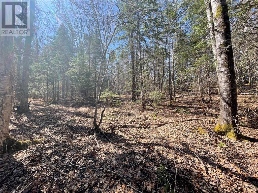 Lot Route 126, Rogersville, New Brunswick  E4Y 2N8 - Photo 27 - M156681