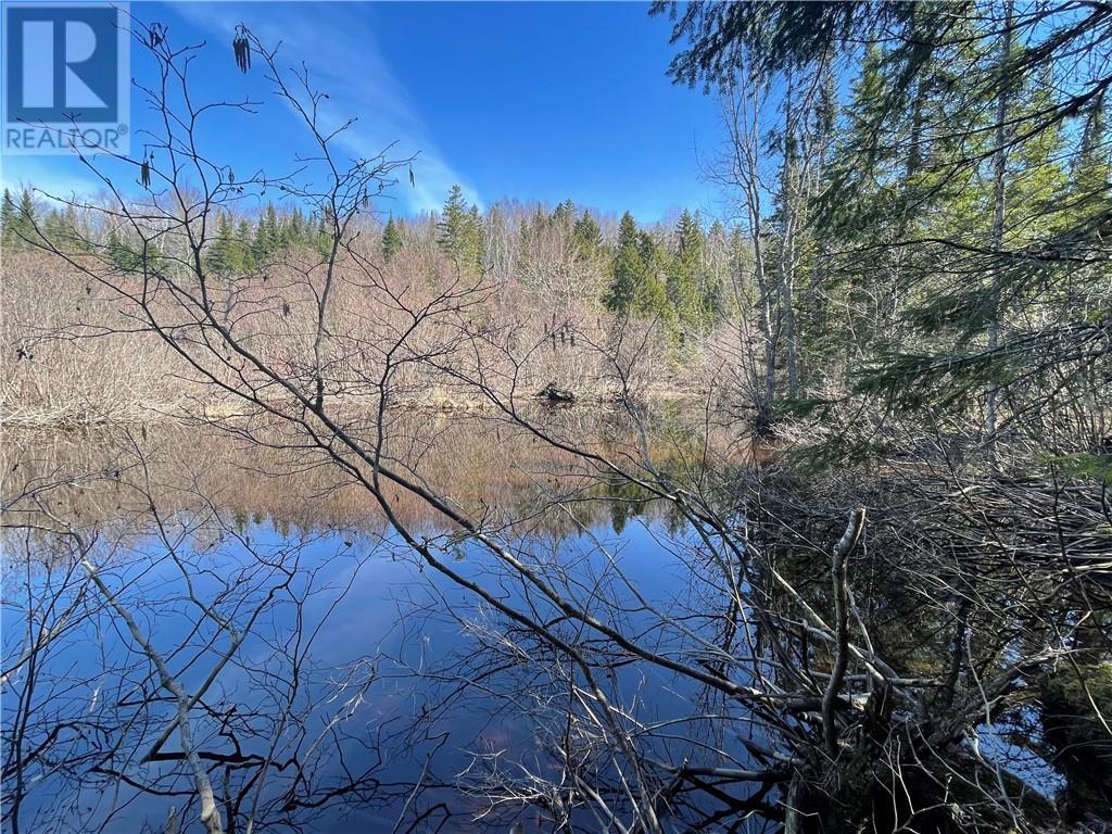 Lot Route 126, Rogersville, New Brunswick  E4Y 2N8 - Photo 29 - M156681