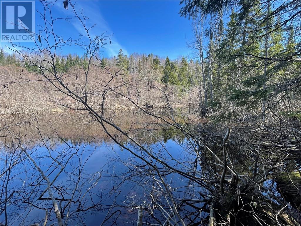 Lot Route 126, Rogersville, New Brunswick  E4Y 2N8 - Photo 30 - M156681