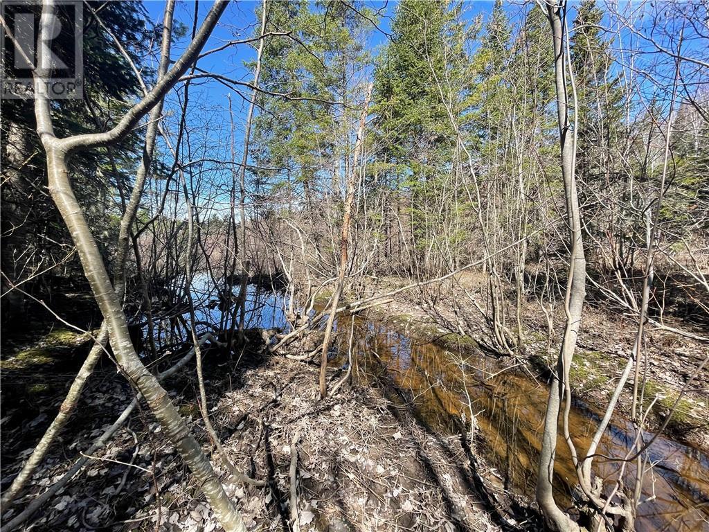 Lot Route 126, Rogersville, New Brunswick  E4Y 2N8 - Photo 32 - M156681