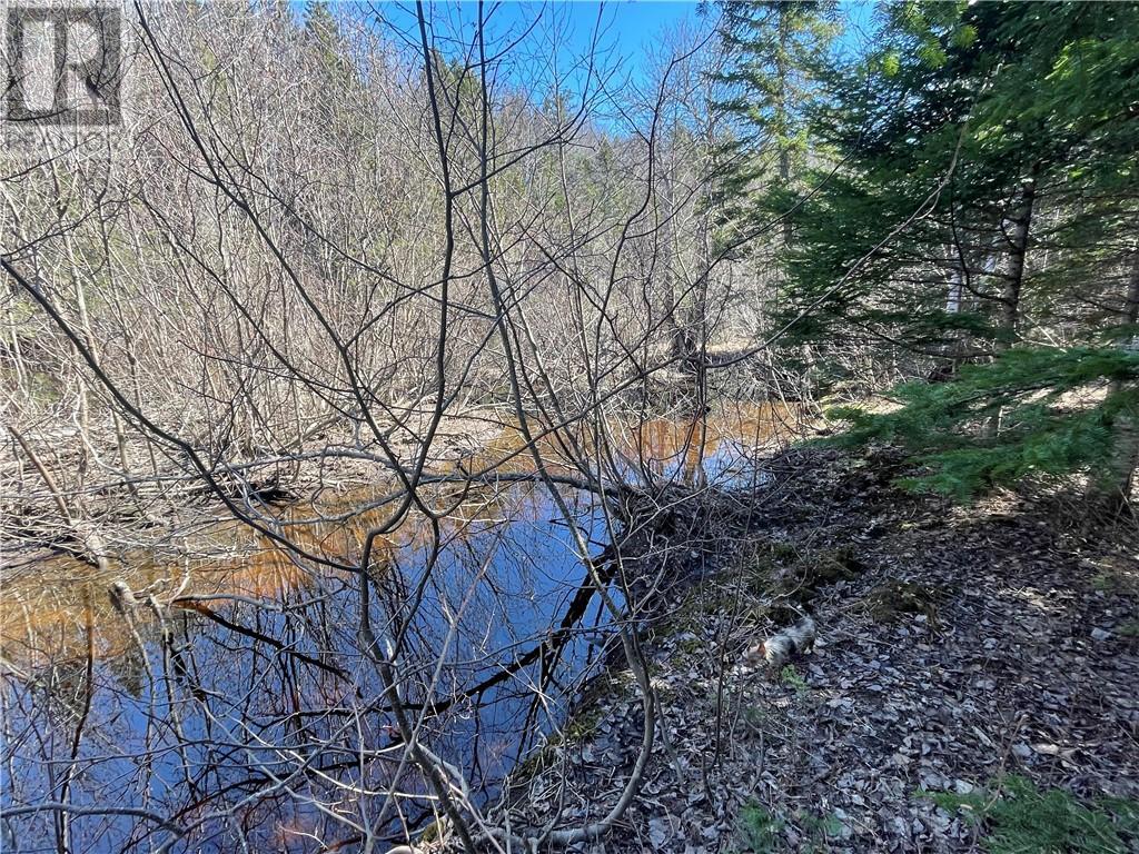 Lot Route 126, Rogersville, New Brunswick  E4Y 2N8 - Photo 33 - M156681