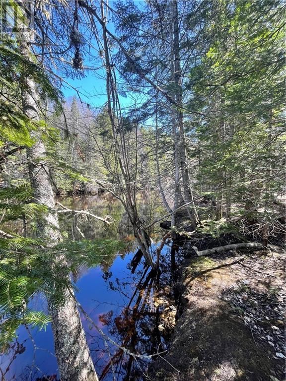 Lot Route 126, Rogersville, New Brunswick  E4Y 2N8 - Photo 36 - M156681