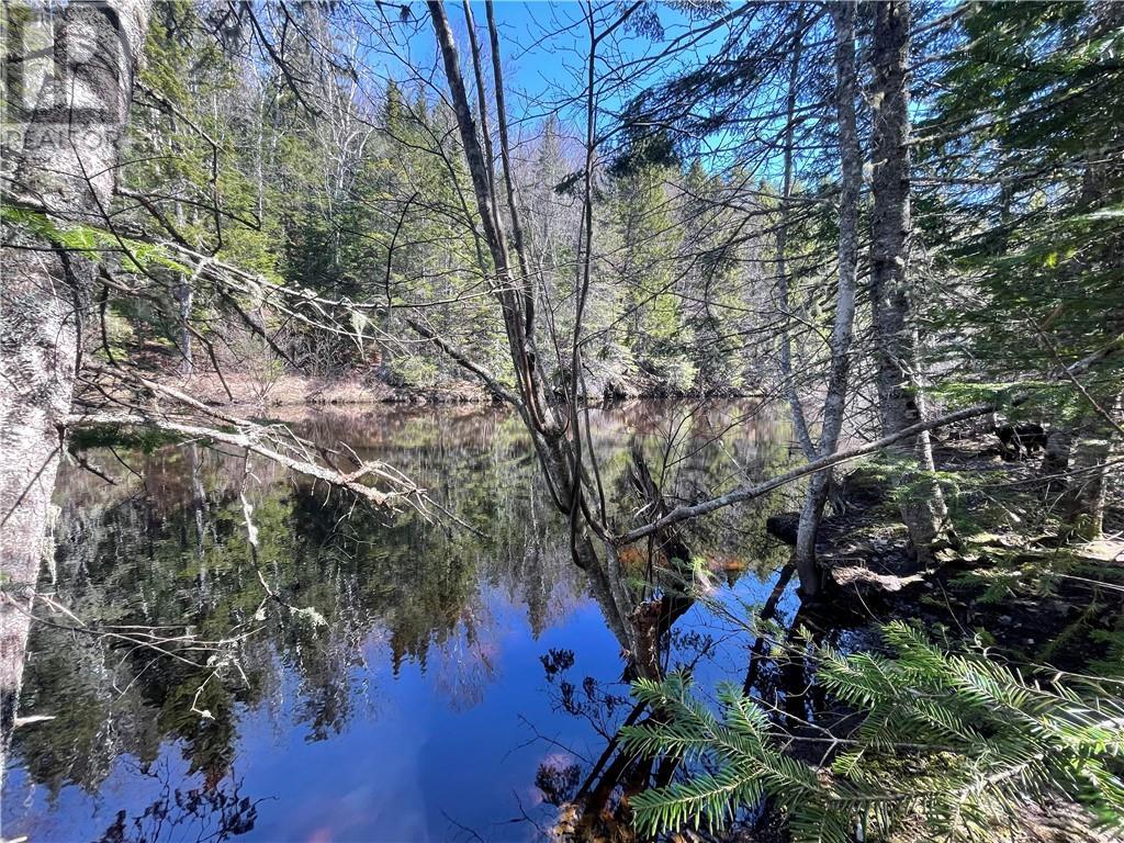 Lot Route 126, Rogersville, New Brunswick  E4Y 2N8 - Photo 37 - M156681