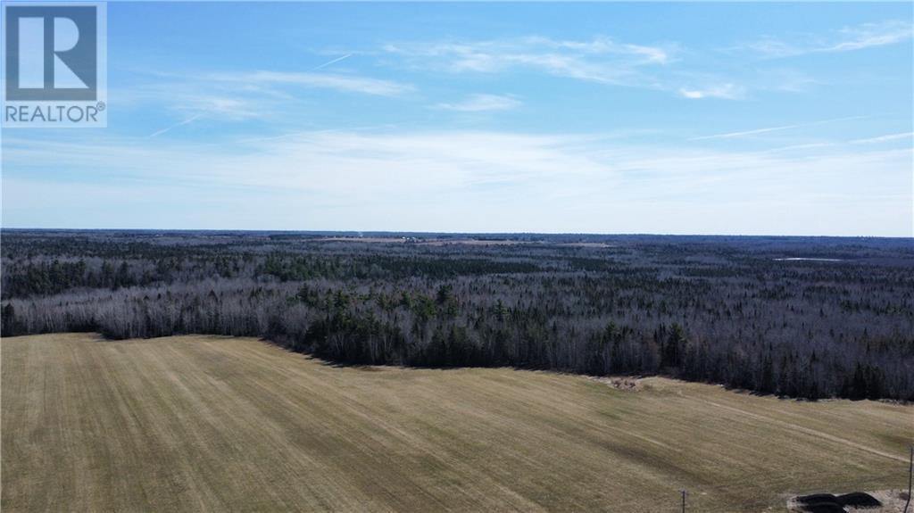 Lot Route 126, Rogersville, New Brunswick  E4Y 2N8 - Photo 5 - M156681