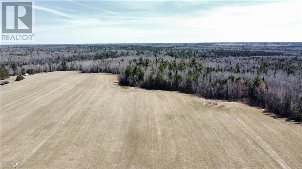 Lot Route 126, Rogersville, New Brunswick  E4Y 2N8 - Photo 6 - M156681