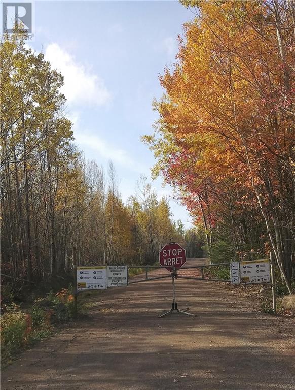 Lot 1 Arsenault Road, Dieppe, New Brunswick  E1A 7J6 - Photo 2 - M156806