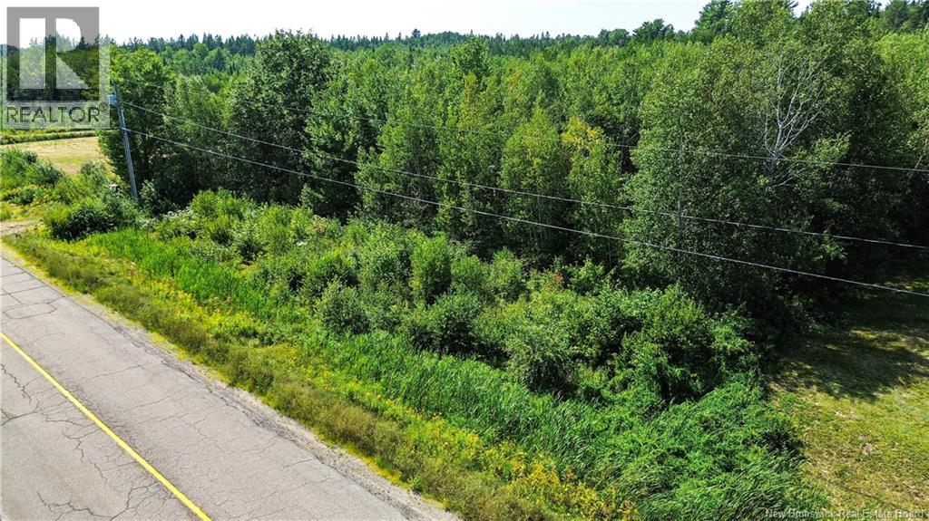 112 Highway, Hunters Home, New Brunswick  E4C 4J8 - Photo 10 - NB094890