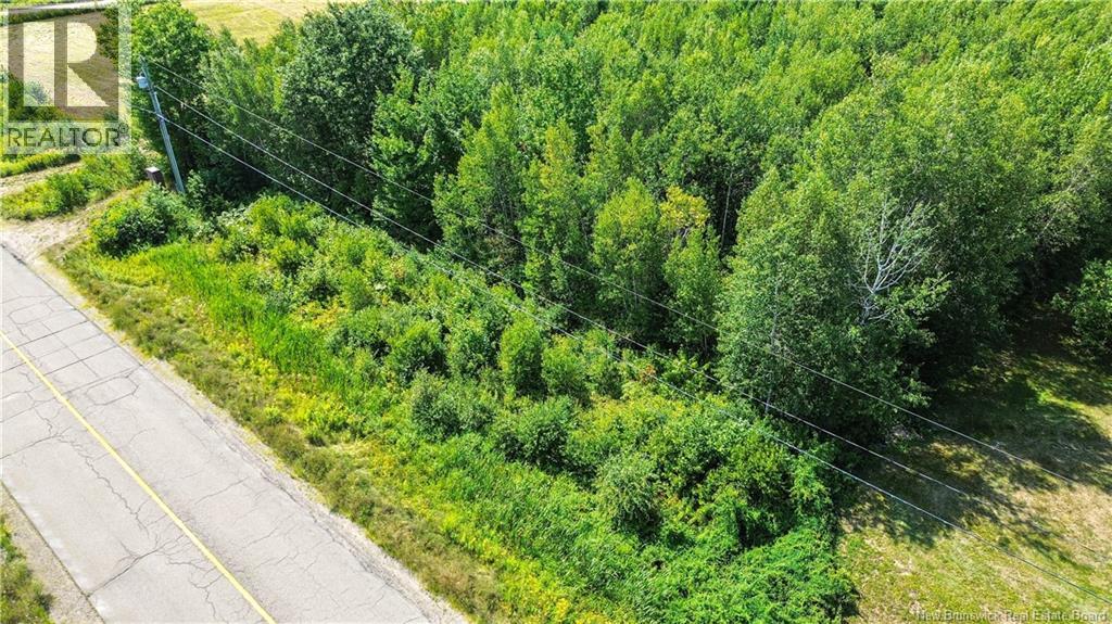 112 Highway, Hunters Home, New Brunswick  E4C 4J8 - Photo 11 - NB094890