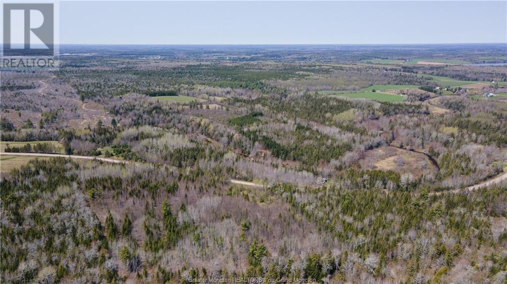 Lot 3 Shortall Road, South Branch, New Brunswick  E4W 3L9 - Photo 2 - M156792