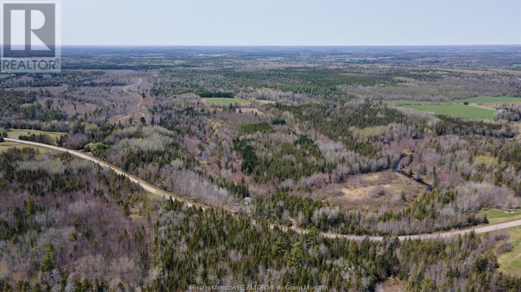 Lot 3 Shortall Road, South Branch, New Brunswick  E4W 3L9 - Photo 3 - M156792