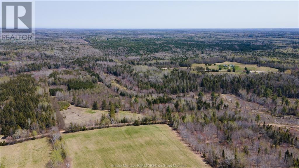 Lot 3 Shortall Road, South Branch, New Brunswick  E4W 3L9 - Photo 5 - M156792