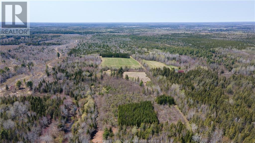 Lot 3 Shortall Road, South Branch, New Brunswick  E4W 3L9 - Photo 6 - M156792