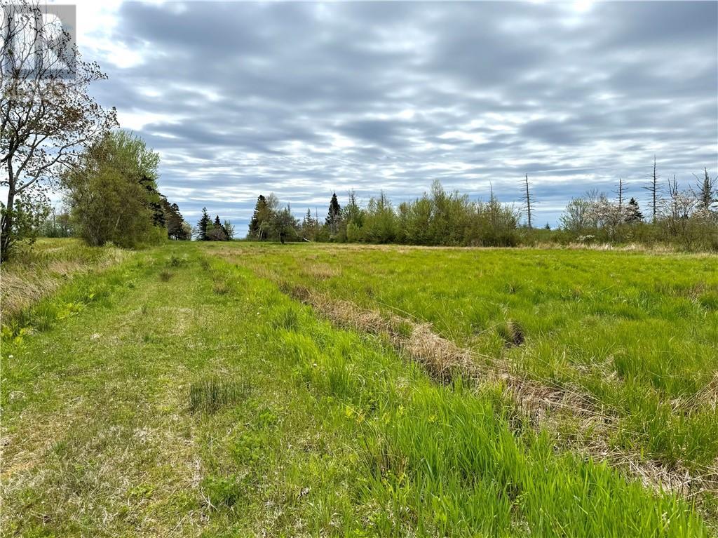 Lot Route 960, Cape Spear, New Brunswick  E4M 0C8 - Photo 16 - M157349