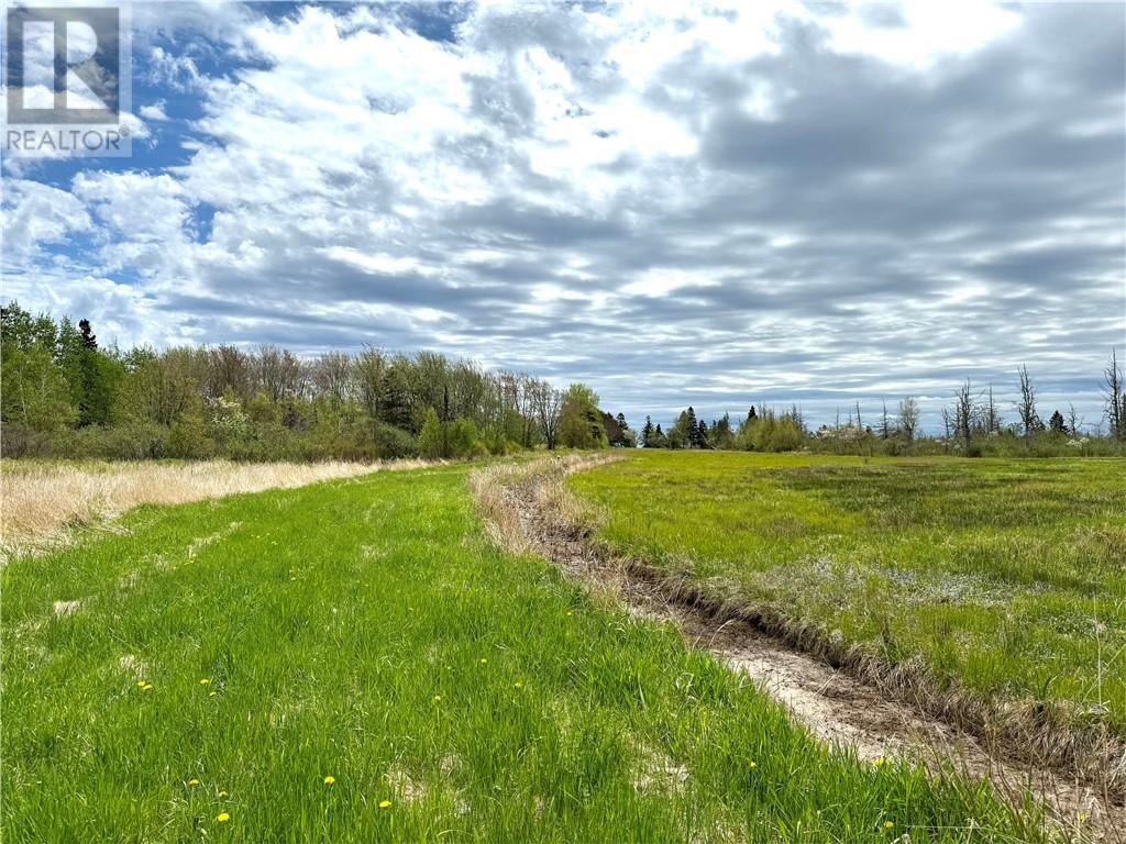 Lot Route 960, Cape Spear, New Brunswick  E4M 0C8 - Photo 17 - M157349