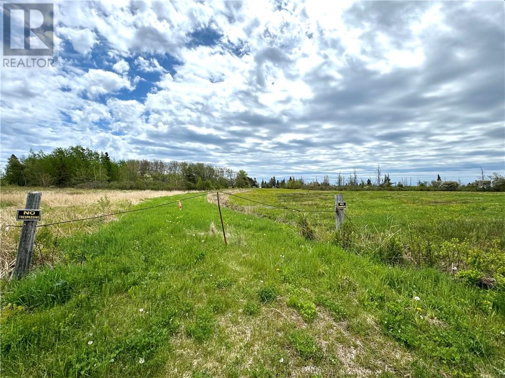 Lot Route 960, Cape Spear, New Brunswick  E4M 0C8 - Photo 5 - M157349