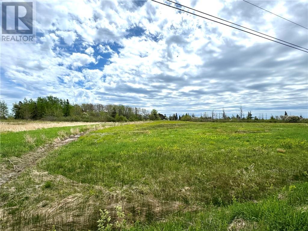 Lot Route 960, Cape Spear, New Brunswick  E4M 0C8 - Photo 6 - M157349