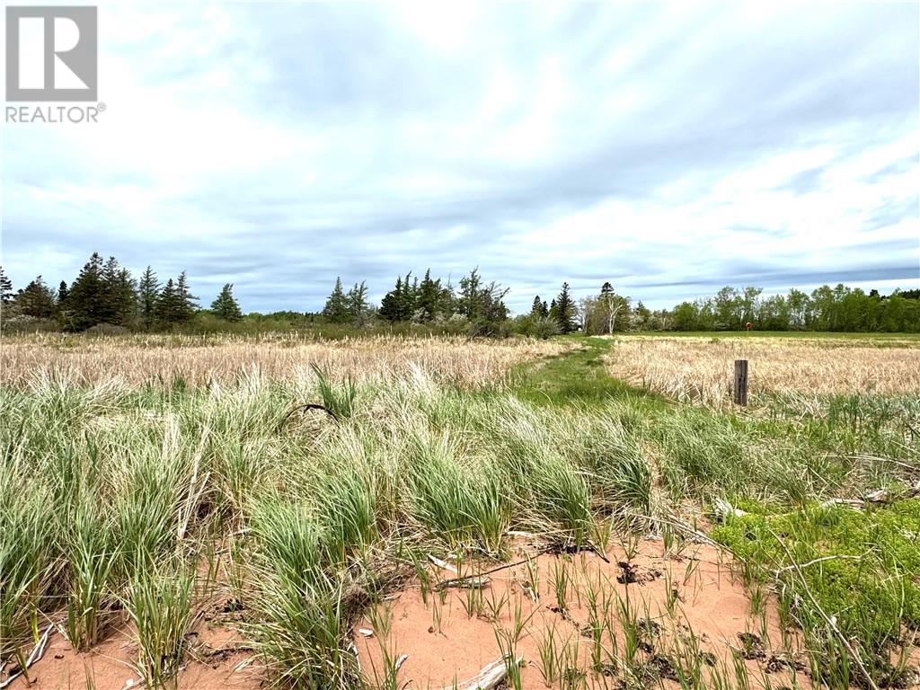 Lot Route 960, Cape Spear, New Brunswick  E4M 0C8 - Photo 9 - M157349