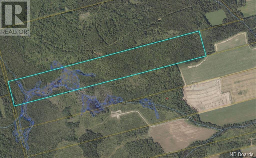 Woodlot Route 103, Simonds, New Brunswick  E7P 2Z2 - Photo 1 - NB095905