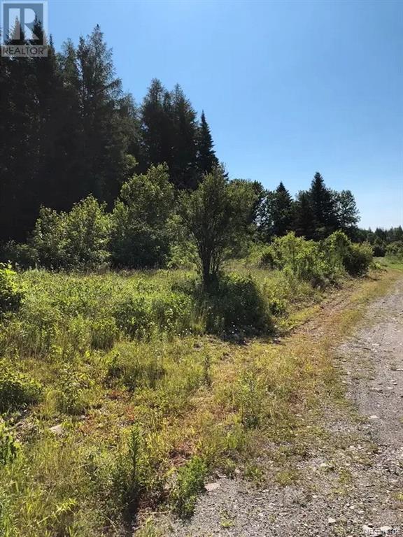 Lot 45 Lynch Road, Saint-Jacques, New Brunswick  E7B 2C2 - Photo 2 - NB096103