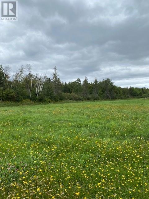 Lot Ha21-4 945 Route, Haute-Aboujagane, New Brunswick  E4P 5T6 - Photo 3 - M157558