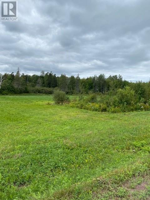 Lot Ha 21-2 945 Route, Haute-Aboujagane, New Brunswick  E4P 5T6 - Photo 3 - M157556