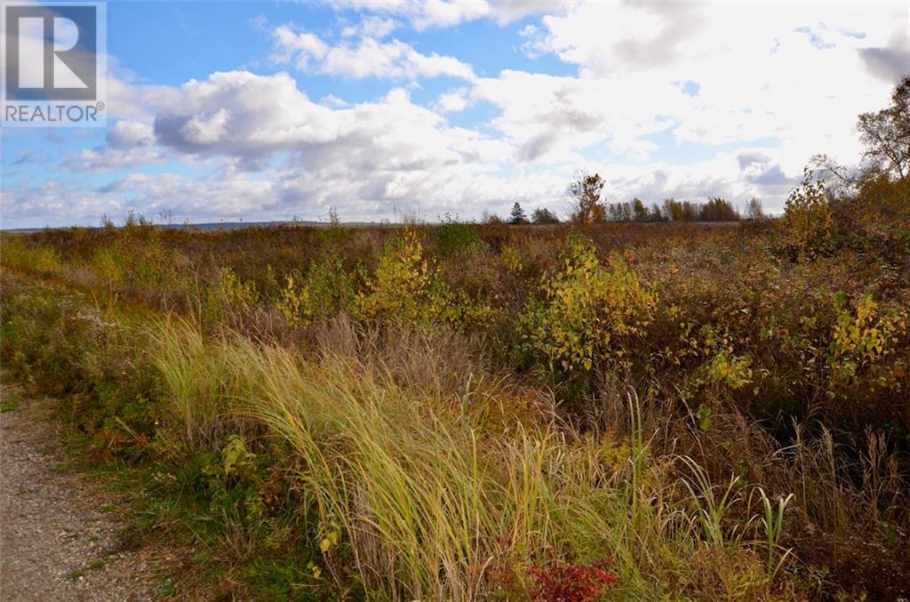 Lot Westcock Marsh, Westcock, New Brunswick  E4L 2H7 - Photo 6 - M157643