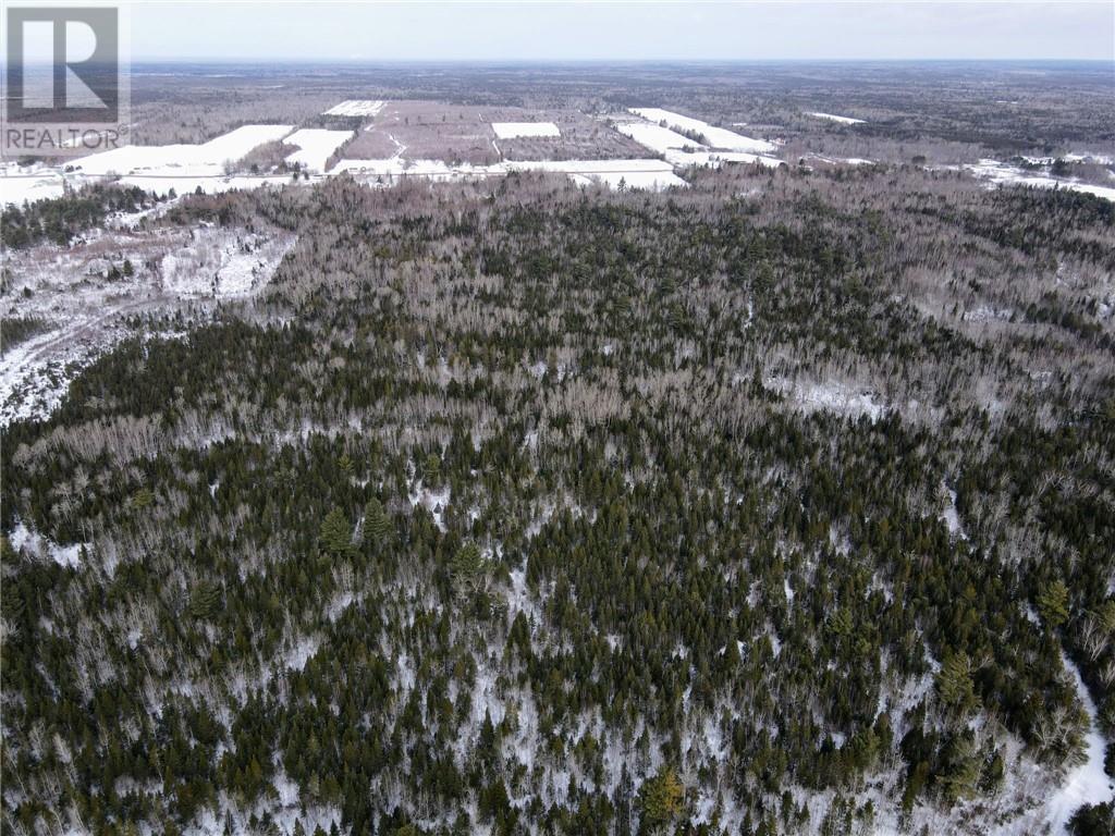 4657 Route 480, Acadieville, New Brunswick  E4Y 2C3 - Photo 11 - M157679