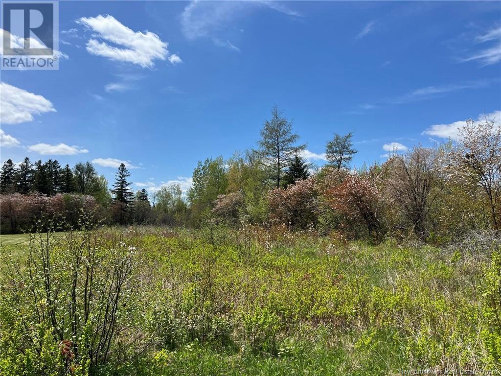 2.2 Acres Moorefield Road, Miramichi, New Brunswick  E1V 7B2 - Photo 5 - NB096338