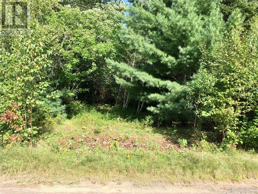 Lot D Gerazime Gallant, Saint-Ignace, New Brunswick  E4X 2E9 - Photo 3 - M157786