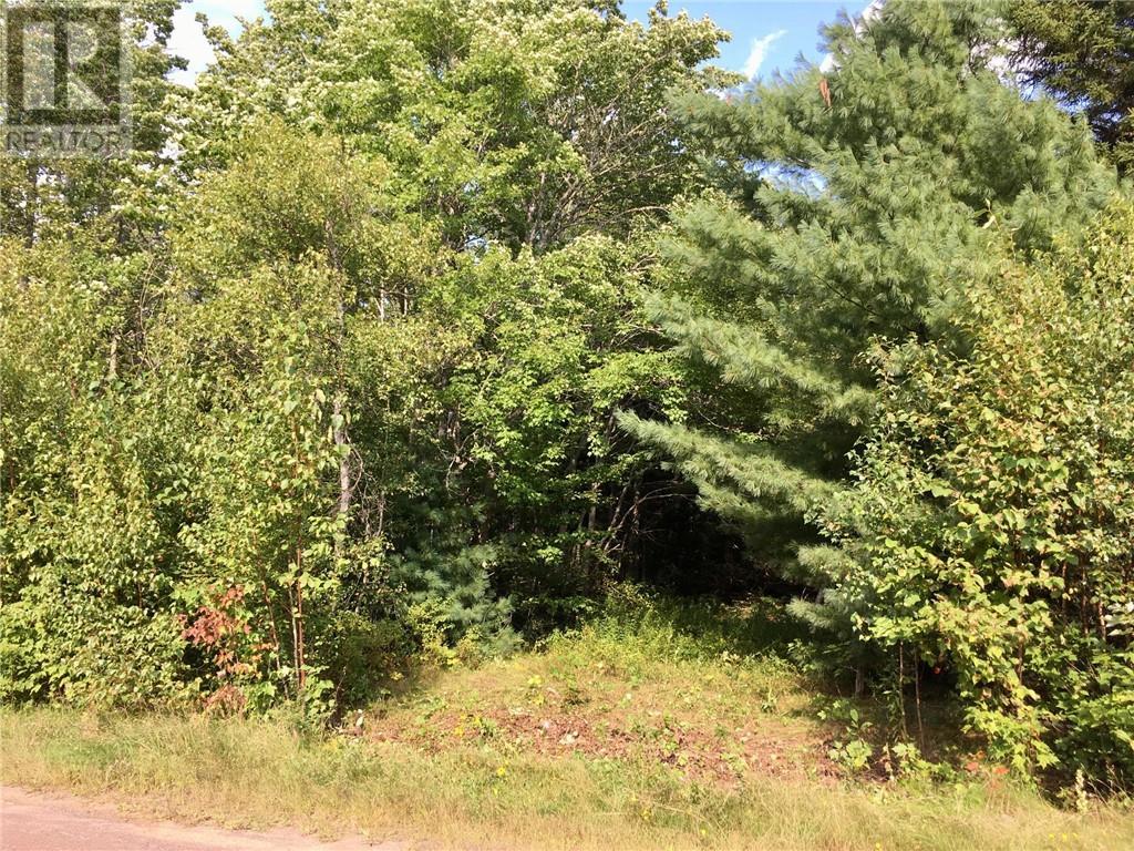 Lot D Gerazime Gallant, Saint-Ignace, New Brunswick  E4X 2E9 - Photo 4 - M157786