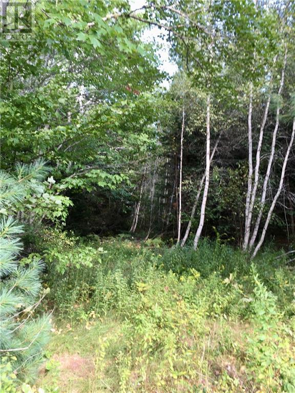 Lot D Gerazime Gallant, Saint-Ignace, New Brunswick  E4X 2E9 - Photo 5 - M157786