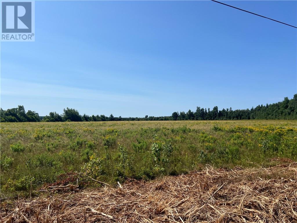 Land Bass River Point Road, Bass River, New Brunswick  E4T 1A6 - Photo 11 - M157802