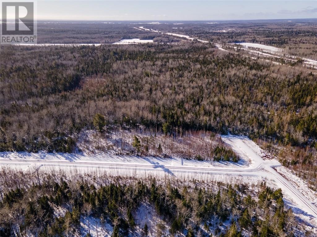 Lot Rte 134, Cocagne, New Brunswick  E4R 3A4 - Photo 12 - M157750