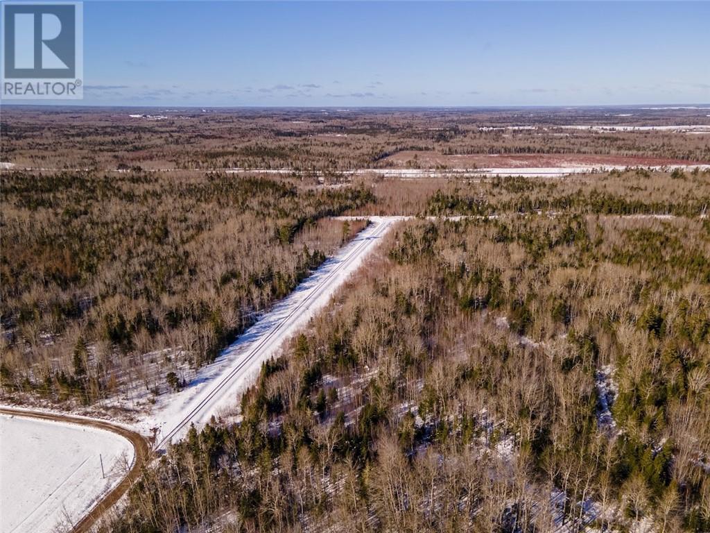 Lot Rte 134, Cocagne, New Brunswick  E4R 3A4 - Photo 48 - M157750