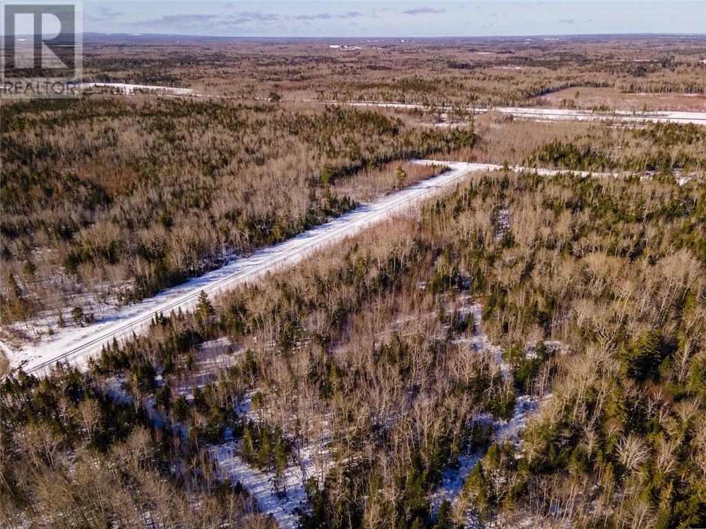 Lot Rte 134, Cocagne, New Brunswick  E4R 3A4 - Photo 9 - M157750