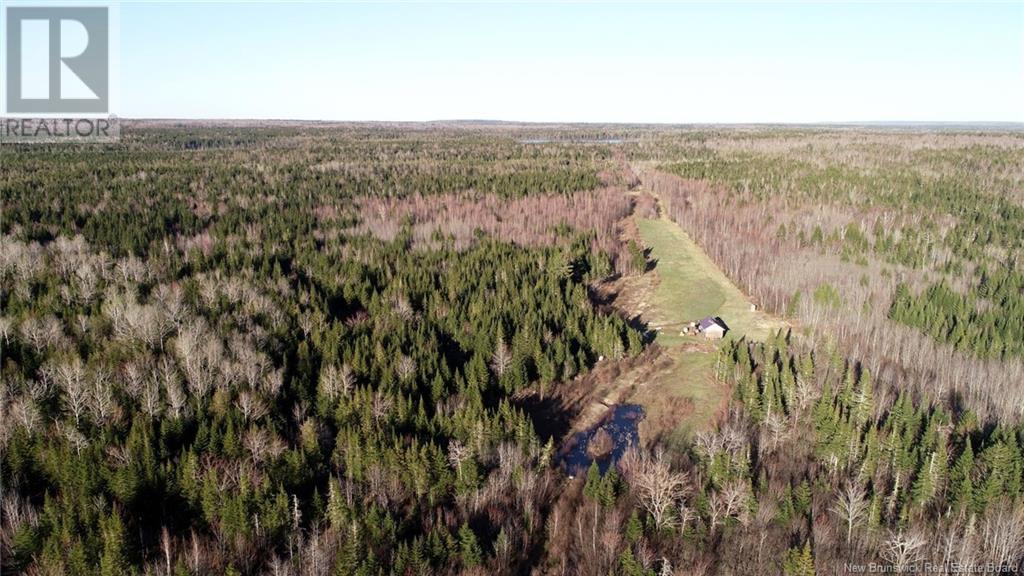 000 Kingsley Road, Kingsley, New Brunswick  E3A 6G2 - Photo 10 - NB096769