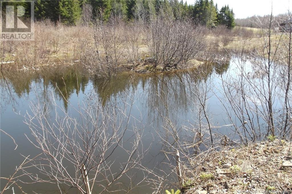 000 Kingsley Road, Kingsley, New Brunswick  E3A 6G2 - Photo 17 - NB096769