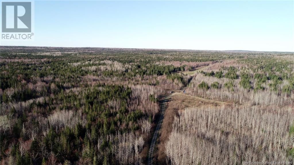 000 Kingsley Road, Kingsley, New Brunswick  E3A 6G2 - Photo 8 - NB096769