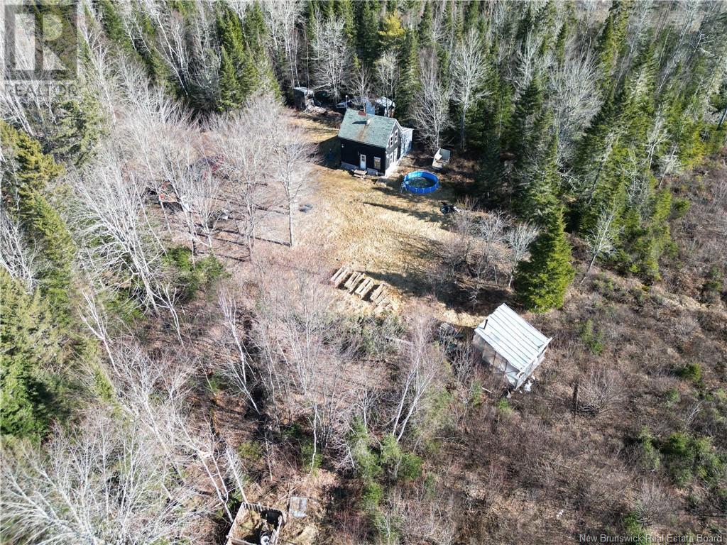 319 Lower Bagdad Road, Bagdad, New Brunswick  E4C 2J5 - Photo 10 - NB096913