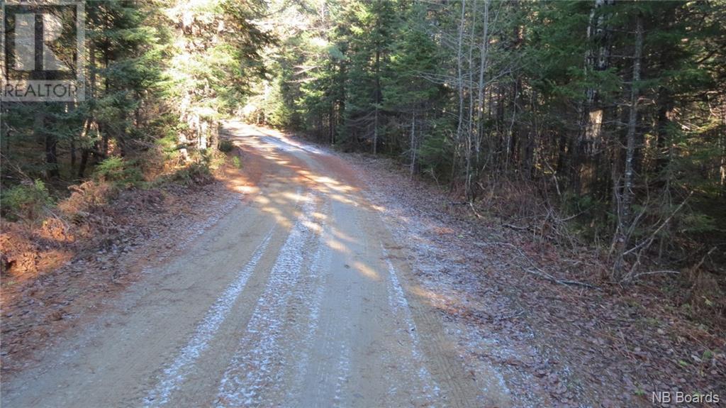 N/a Eric's Lane, Cains River, New Brunswick  E9B 0B4 - Photo 1 - NB096997