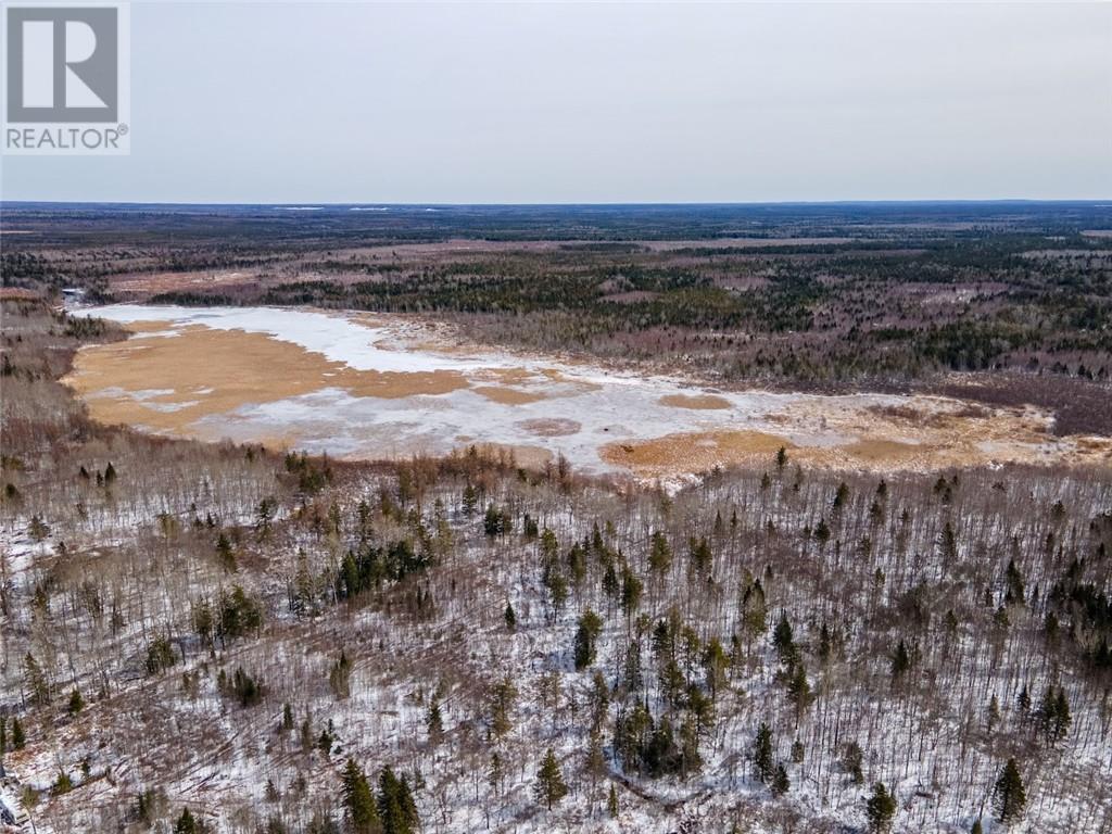 Lot Saint Sosime Road, Adamsville, New Brunswick  E4T 2G3 - Photo 12 - M158032