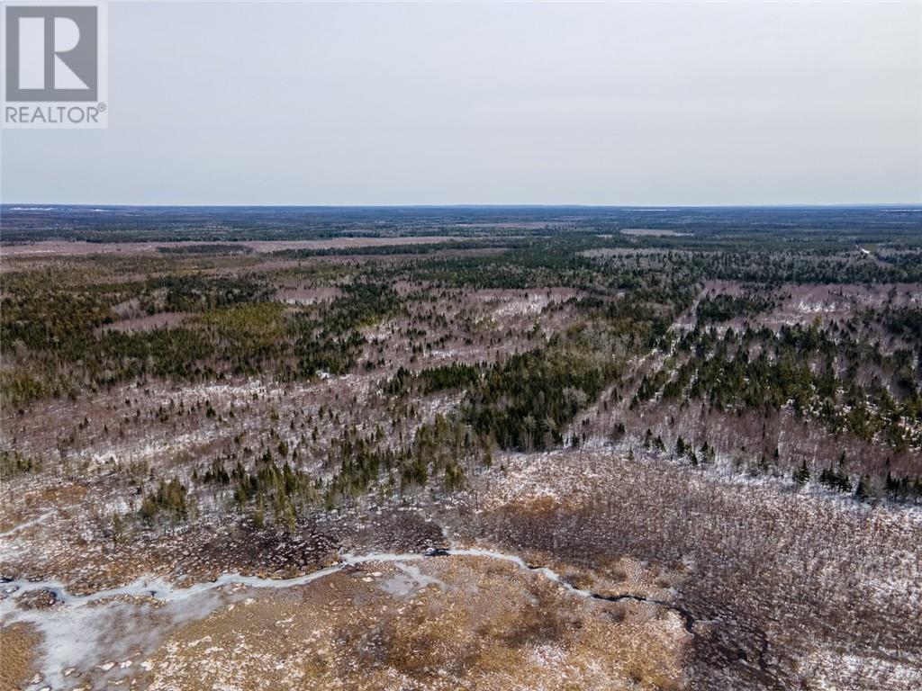 Lot Saint Sosime Road, Adamsville, New Brunswick  E4T 2G3 - Photo 17 - M158032