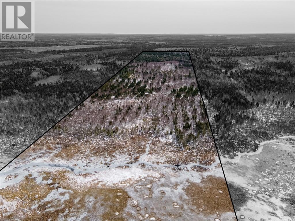 Lot Saint Sosime Road, Adamsville, New Brunswick  E4T 2G3 - Photo 21 - M158032