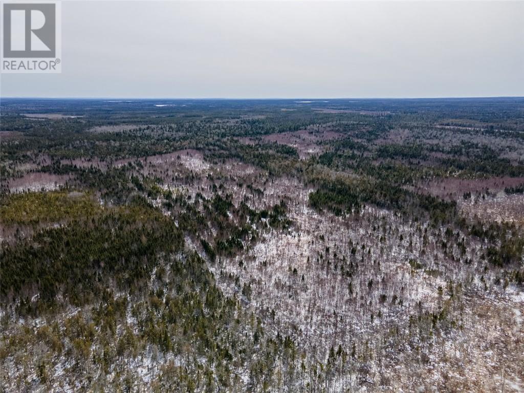 Lot Saint Sosime Road, Adamsville, New Brunswick  E4T 2G3 - Photo 29 - M158032