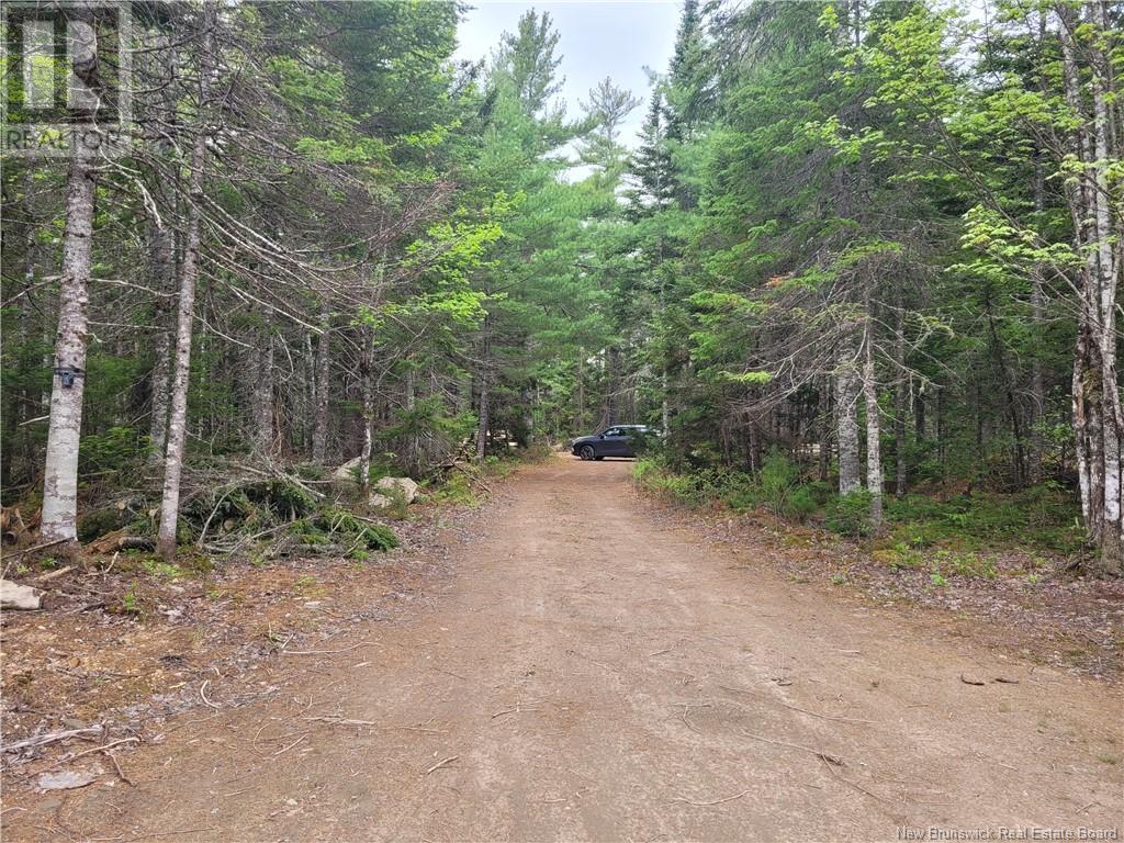 Camp Ch. De La Prairie, Richibouctou-Village, New Brunswick  E4S 1K1 - Photo 6 - M158145