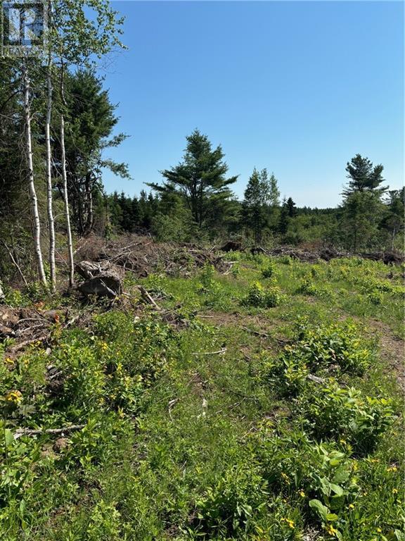 Lot Lawson, Saint-Norbert, New Brunswick  E4S 2P3 - Photo 3 - M158187